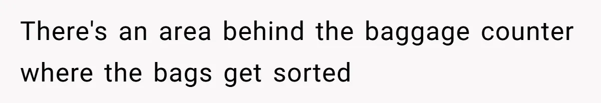 There's an area behind the baggage counter where the bags get sorted