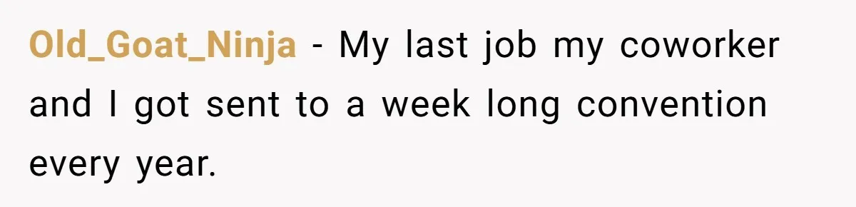 Old_Goat_Ninja − My last job my coworker and I got sent to a week long convention every year.