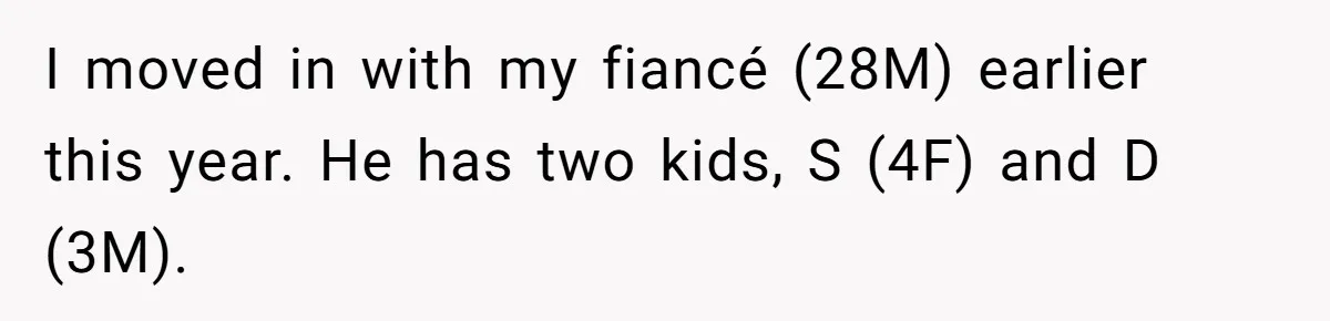 I moved in with my fiancé (28M) earlier this year. He has two kids, S (4F) and D (3M).