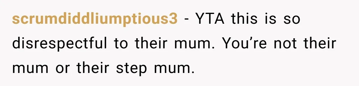 scrumdiddliumptious3 − YTA this is so disrespectful to their mum. You’re not their mum or their step mum.