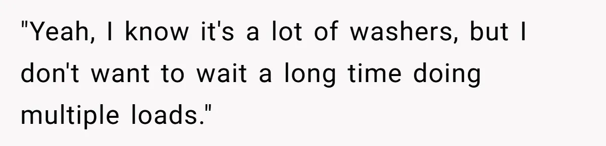 "Yeah, I know it's a lot of washers, but I don't want to wait a long time doing multiple loads."