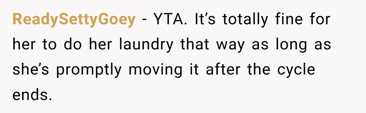 ReadySettyGoey − YTA. It’s totally fine for her to do her laundry that way as long as she’s promptly moving it after the cycle ends.