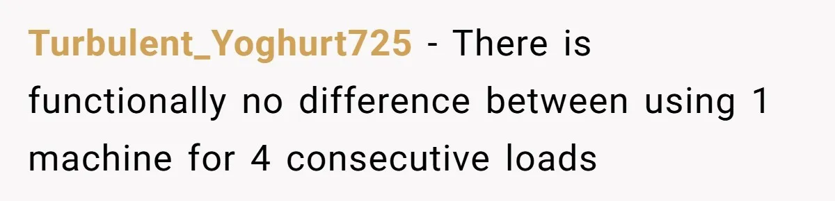 Turbulent_Yoghurt725 − There is functionally no difference between using 1 machine for 4 consecutive loads