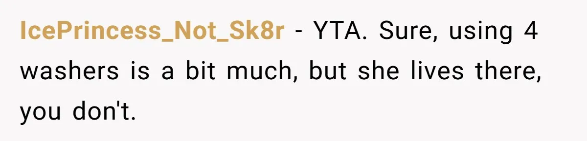 IcePrincess_Not_Sk8r − YTA. Sure, using 4 washers is a bit much, but she lives there, you don't.