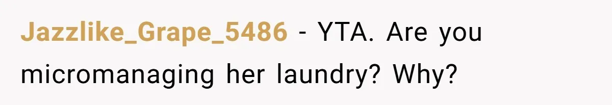Jazzlike_Grape_5486 − YTA. Are you micromanaging her laundry? Why?