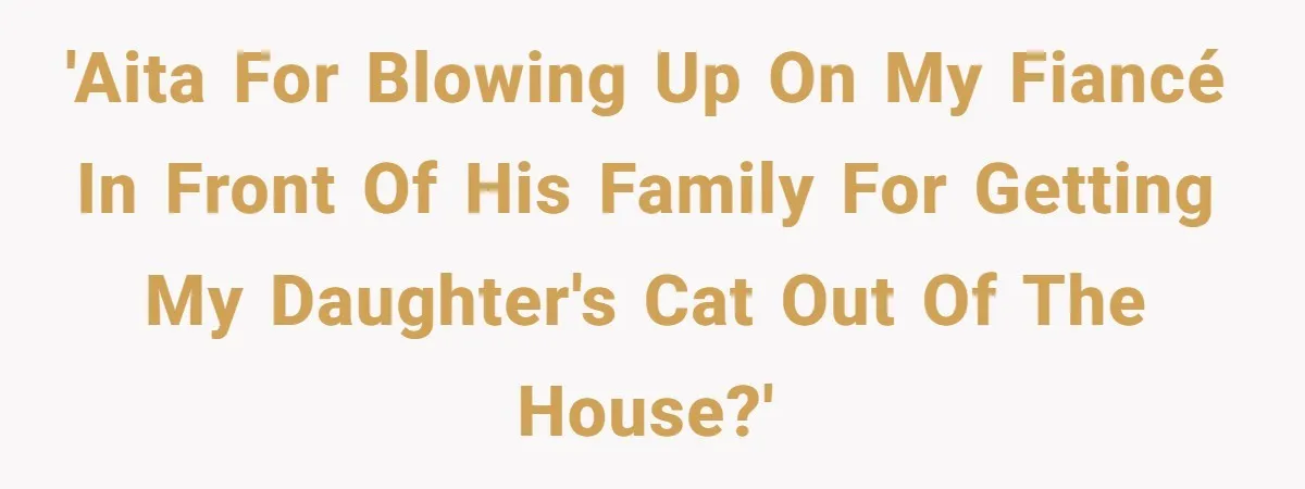 'AITA for blowing up on my fiancé in front of his family for getting my daughter's cat out of the house?'