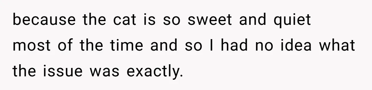 because the cat is so sweet and quiet most of the time and so I had no idea what the issue was exactly.