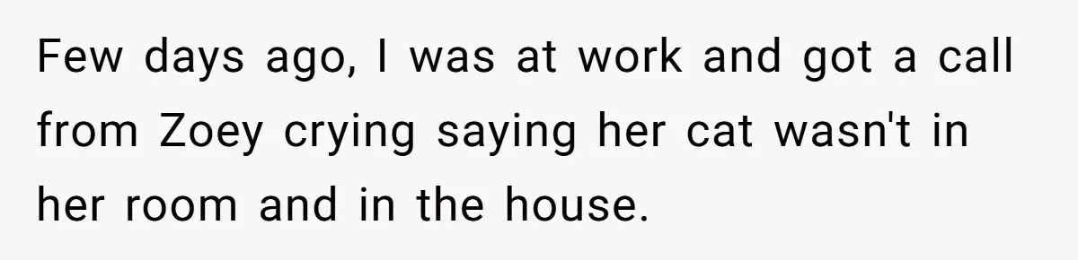 Few days ago, I was at work and got a call from Zoey crying saying her cat wasn't in her room and in the house.