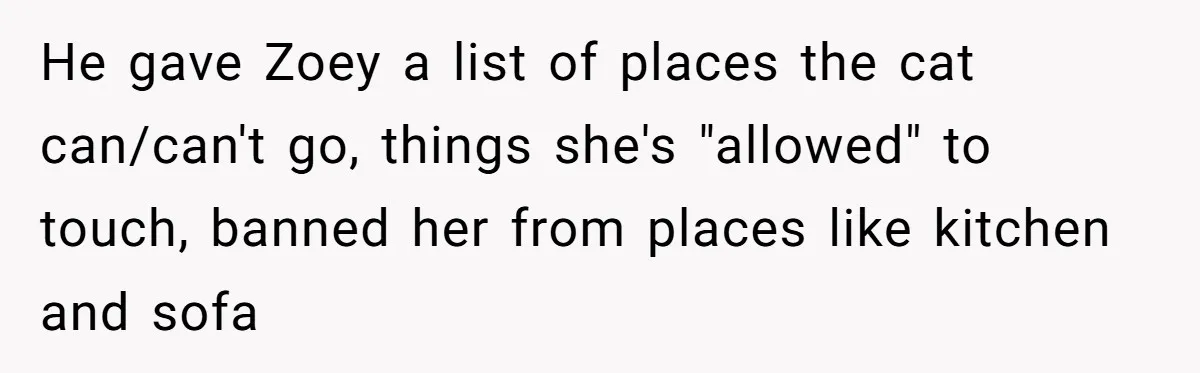 He gave Zoey a list of places the cat can/can't go, things she's "allowed" to touch, banned her from places like kitchen and sofa