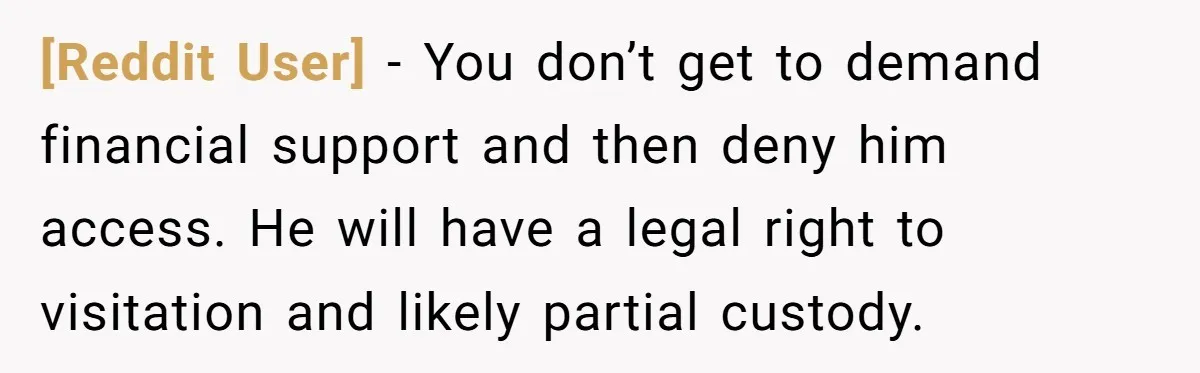 [Reddit User] − You don’t get to demand financial support and then deny him access. He will have a legal right to visitation and likely partial custody.