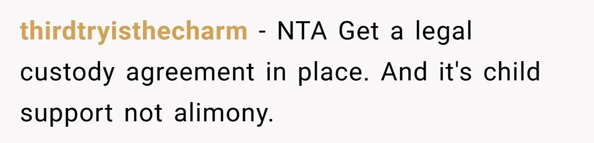 thirdtryisthecharm − NTA Get a legal custody agreement in place. And it's child support not alimony.
