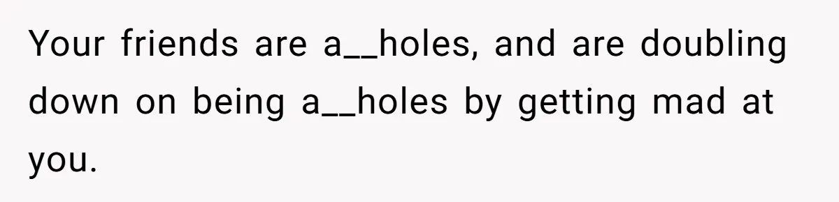 Your friends are a__holes, and are doubling down on being a__holes by getting mad at you.