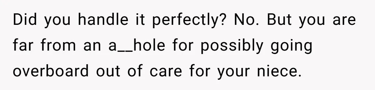 Did you handle it perfectly? No. But you are far from an a__hole for possibly going overboard out of care for your niece.