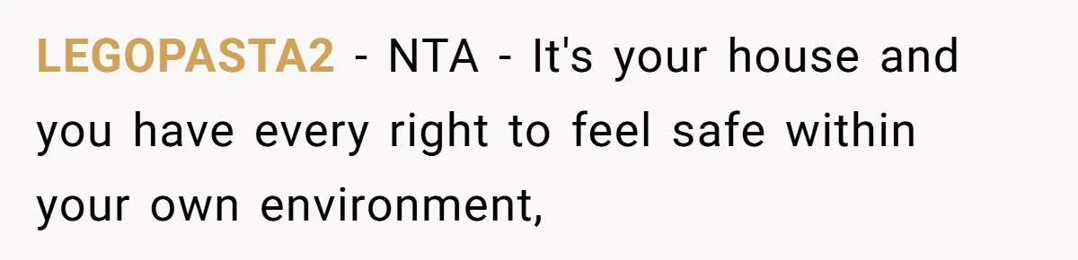 LEGOPASTA2 − NTA - It's your house and you have every right to feel safe within your own environment,