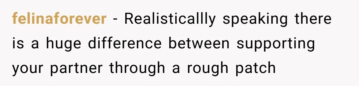 Woman Faces Hardship: Baby On The Way, No Stable Income, Fiancé Wants To Quit Without Secure Plan felinaforever − Realisticallly speaking there is a huge difference between supporting your partner through a rough patch