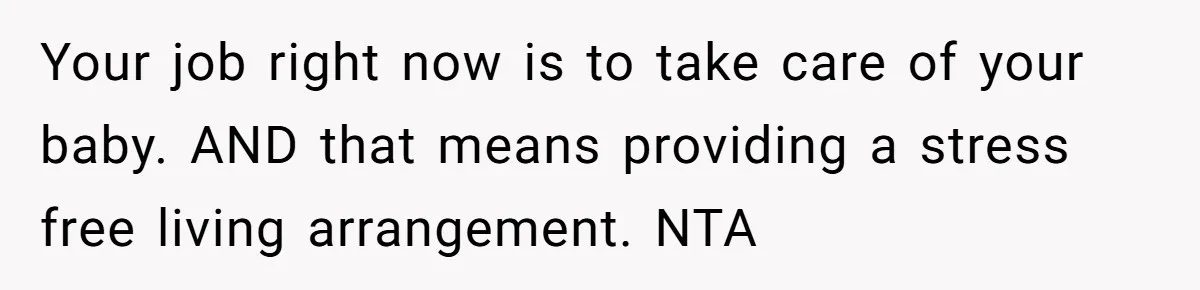 Woman Faces Hardship: Baby On The Way, No Stable Income, Fiancé Wants To Quit Without Secure Plan Your job right now is to take care of your baby. AND that means providing a stress free living arrangement. NTA