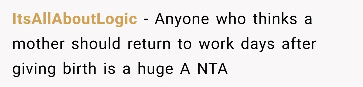 Woman Faces Hardship: Baby On The Way, No Stable Income, Fiancé Wants To Quit Without Secure Plan ItsAllAboutLogic − Anyone who thinks a mother should return to work days after giving birth is a huge A NTA