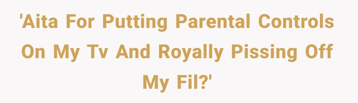 'AITA for putting parental controls on my TV and royally pissing off my FIL?'