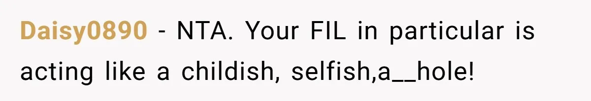 Daisy0890 − NTA. Your FIL in particular is acting like a childish, selfish,a__hole!