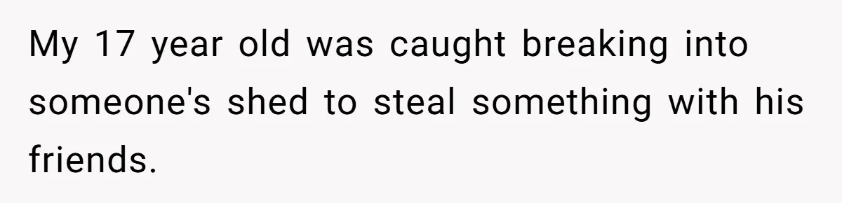 My 17 year old was caught breaking into someone's shed to steal something with his friends.
