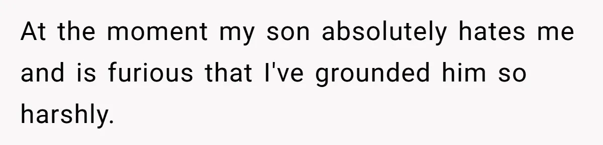 At the moment my son absolutely hates me and is furious that I've grounded him so harshly.