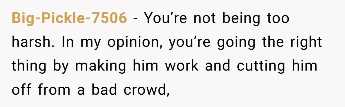Big-Pickle-7506 − You’re not being too harsh. In my opinion, you’re going the right thing by making him work and cutting him off from a bad crowd,