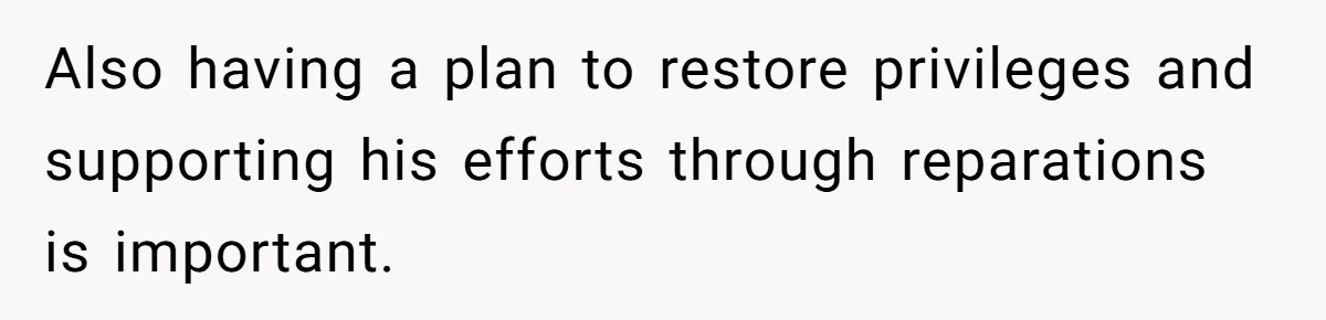 Also having a plan to restore privileges and supporting his efforts through reparations is important.