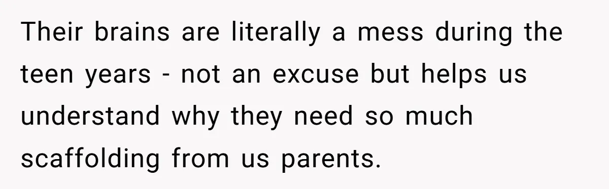 Their brains are literally a mess during the teen years - not an excuse but helps us understand why they need so much scaffolding from us parents.
