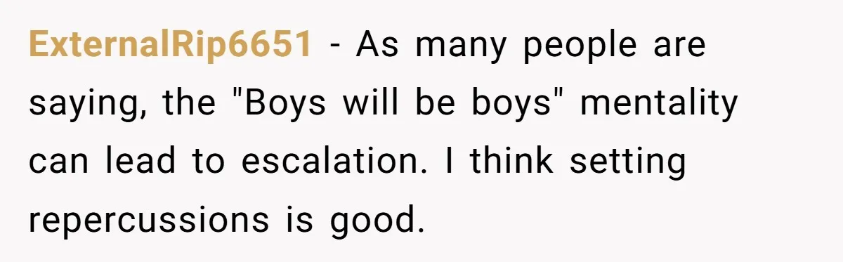 ExternalRip6651 − As many people are saying, the "Boys will be boys" mentality can lead to escalation. I think setting repercussions is good.