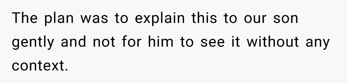 The plan was to explain this to our son gently and not for him to see it without any context.