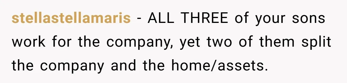 stellastellamaris − ALL THREE of your sons work for the company, yet two of them split the company and the home/assets.