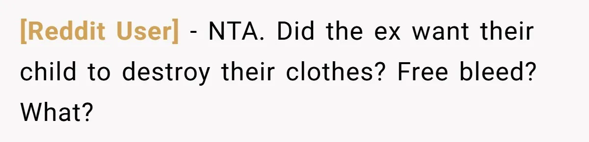 [Reddit User] − NTA. Did the ex want their child to destroy their clothes? Free bleed? What?