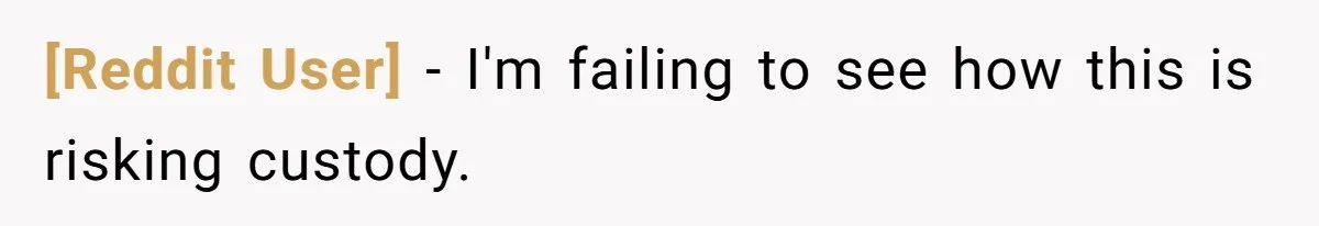 [Reddit User] − I'm failing to see how this is risking custody.
