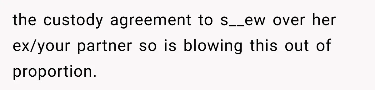 the custody agreement to s__ew over her ex/your partner so is blowing this out of proportion.