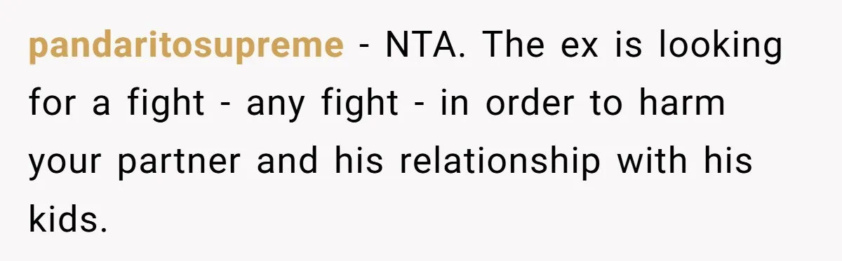 pandaritosupreme − NTA. The ex is looking for a fight - any fight - in order to harm your partner and his relationship with his kids.