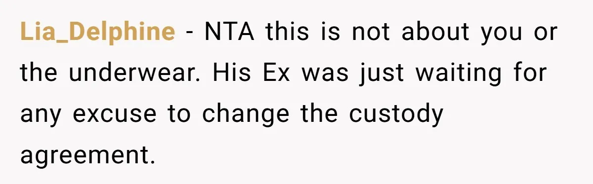 Lia_Delphine − NTA this is not about you or the underwear. His Ex was just waiting for any excuse to change the custody agreement.