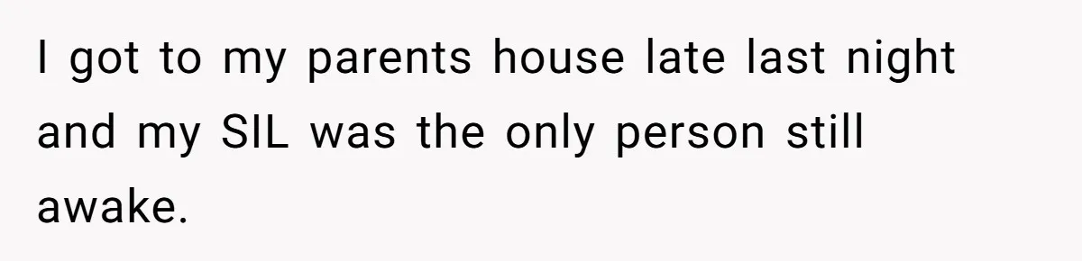 I got to my parents house late last night and my SIL was the only person still awake.