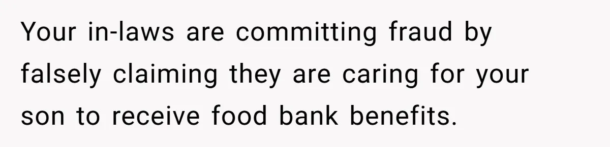 Your in-laws are committing fraud by falsely claiming they are caring for your son to receive food bank benefits.