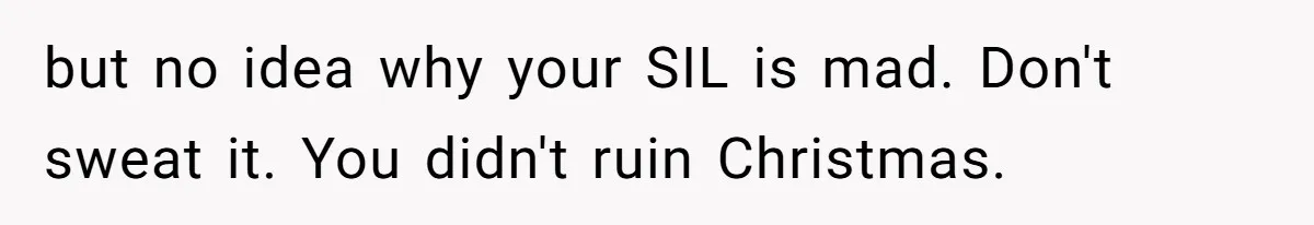 but no idea why your SIL is mad. Don't sweat it. You didn't ruin Christmas.