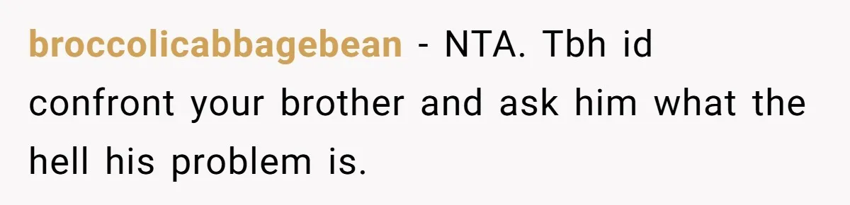 broccolicabbagebean − NTA. Tbh id confront your brother and ask him what the hell his problem is.