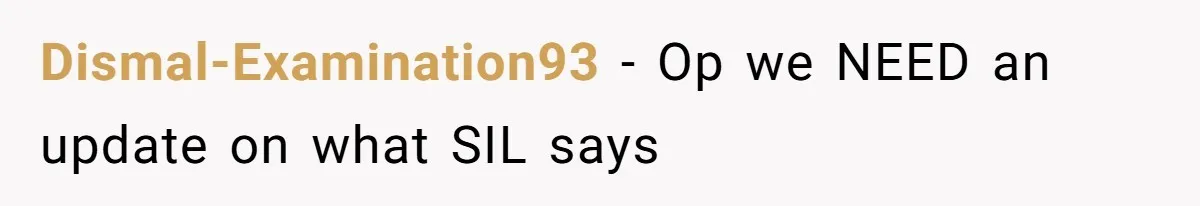 Dismal-Examination93 − Op we NEED an update on what SIL says