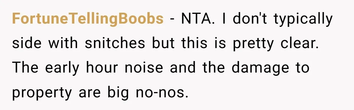 FortuneTellingBoobs − NTA. I don't typically side with snitches but this is pretty clear. The early hour noise and the damage to property are big no-nos.
