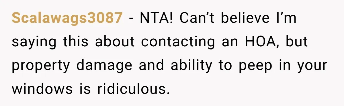 Scalawags3087 − NTA! Can’t believe I’m saying this about contacting an HOA, but property damage and ability to peep in your windows is ridiculous.