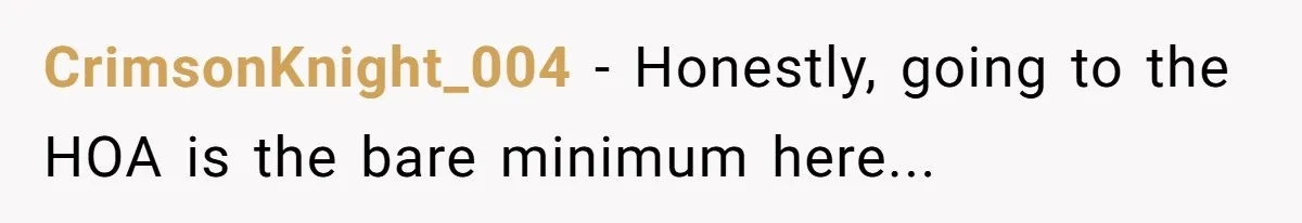 CrimsonKnight_004 − Honestly, going to the HOA is the bare minimum here...
