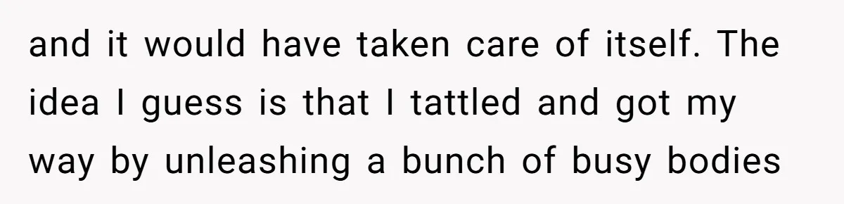 and it would have taken care of itself. The idea I guess is that I tattled and got my way by unleashing a bunch of busy bodies