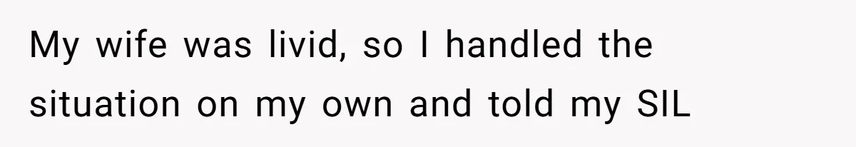 My wife was livid, so I handled the situation on my own and told my SIL