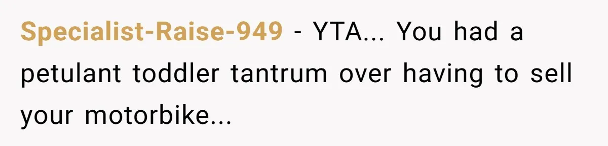 Specialist-Raise-949 − YTA... You had a petulant toddler tantrum over having to sell your motorbike...