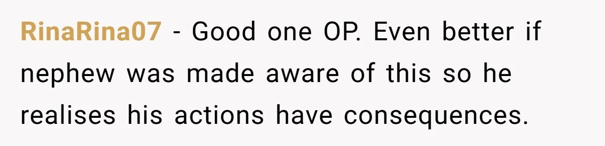 RinaRina07 − Good one OP. Even better if nephew was made aware of this so he realises his actions have consequences.