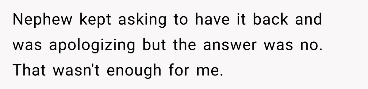 Nephew kept asking to have it back and was apologizing but the answer was no. That wasn't enough for me.