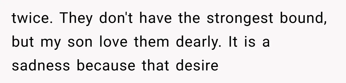 twice. They don't have the strongest bound, but my son love them dearly. It is a sadness because that desire